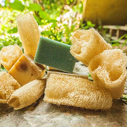 Luffa Esponja - Greek Flavours - Lufa natural entera 40-50 cm - Esponja exfoliante natural - Esponja lufa vegetal - Origen Grecia