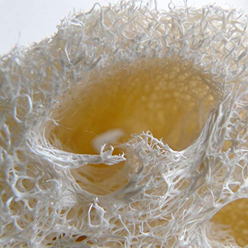 Luffa Esponja - Greek Flavours - Lufa natural entera 40-50 cm - Esponja exfoliante natural - Esponja lufa vegetal - Origen Grecia