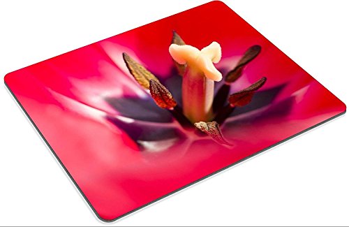 luxlady Gaming Mousepad imagen ID: 19065806 Detalle de Colorful Tulip Flores