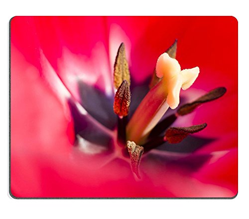 luxlady Gaming Mousepad imagen ID: 19065806 Detalle de Colorful Tulip Flores