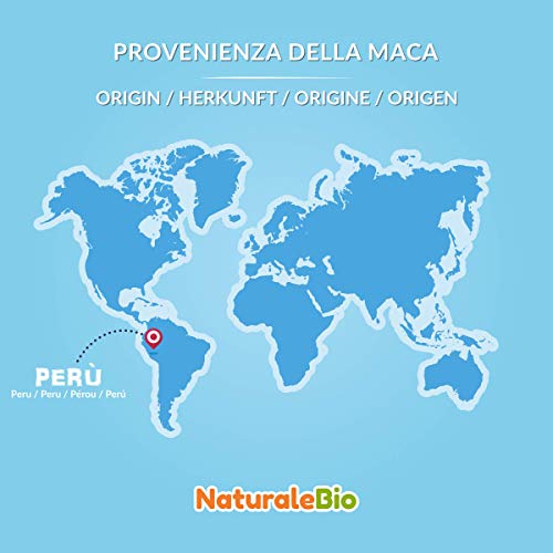 Maca Andina Ecológica en Polvo [ Gelatinizada ] 1 kg. Organic Maca Powder Gelatinized. 100% Peruana, Bio y Pura, viene de raíz de Maca Organica. NaturaleBio