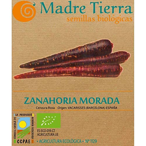 Madre Tierra - Semillas Ecologicas de Zanahoria Morada -(Cenorua Roxa) Origen España - Semillas Especiales - 2 gramos