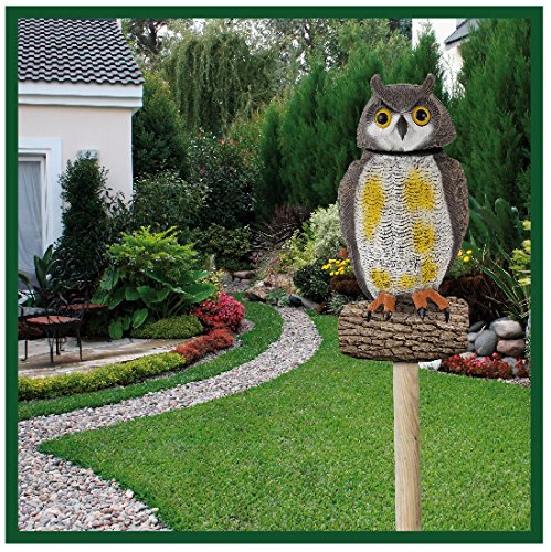 MASSÓ 231452 Búho eólico, 18.5x40x17 cm