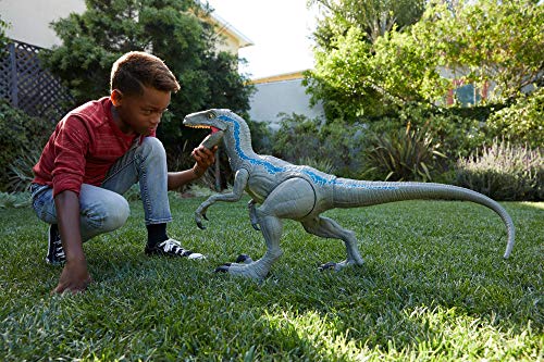 Mattel - Jurassic World Velocirráptor Blue Supercolosal, Dinosaurio de Juguete (Mattel GCT93)
