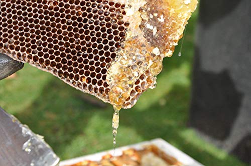 Miel cruda de ImkerPur, 400 g, sin filtrar, no centrifugada o calentada, contiene polen de flores, cera de abeja, propóleos, pan de abejas y jalea real