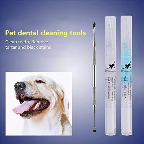 MIFASA Herramientas de Limpieza de Dientes de Mascotas Bolígrafos para blanquear los Dientes de Perro Herramientas de Cuidado bucal para Mascotas 3Pcs / Set