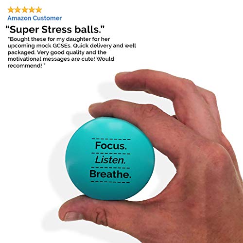 MindPanda Bolas de estrés Motivacional Positivo 3X La Pelota antiestrés Adultos y niños para Ayudar a aliviar el estrés y la ansiedad E-Book Gratis y PDF de Ejercicios manuales incluidos (Light Blue)