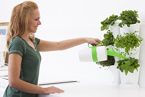 minigarden Watering Can, 2.5 L, Diseño Elegante Que Permite Regar y Nutrir Las Plantas de Forma Cómoda y Precisa, Largo Ciclo de Vida, Incluidas Muestras Gratuitas de Nutrientes para Plantas