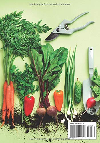 Mon Potager Bio 50 fiches: Maraichage bio | Jardiner sur sol vivant | Contient 50 fiches pratiques | Petit Format | Culture sur 15 M2