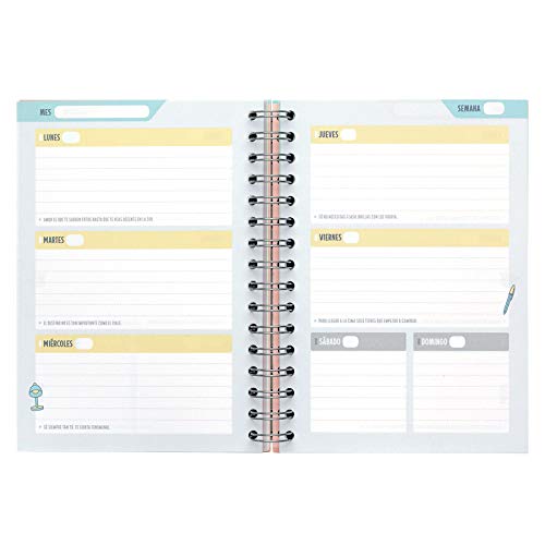 Mr. Wonderful Planificador para profes - Lo estás Haciendo de 10, Multicolor, 0