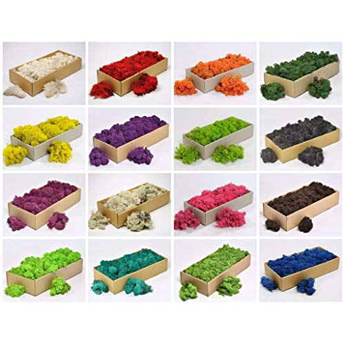 Musgo Secado Flor Seca Preservada Decor - Verde Oscuro