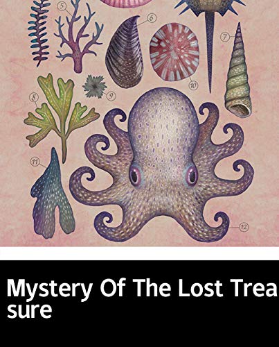 Mystery Of The Lost Treasure: Children's books and magazines (English Edition)