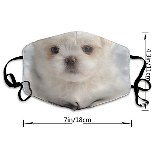 naizi tela de tela, tapón de paquete, puede lavar el polvo Código M