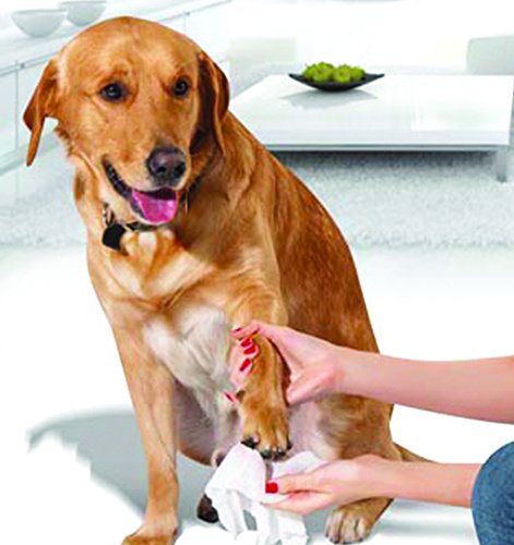 Napkin CREHO - Toallitas Limon humedecidas en cápsula - 50 piezas