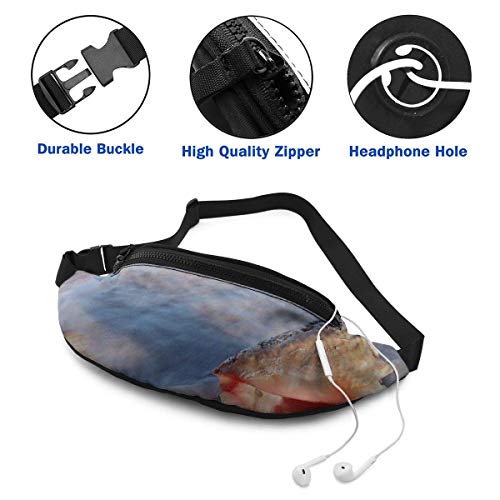 Nature Sea Shells Sport Waist Bag Pack,Fitness Exercise Belt Bags Orange Dog Paws,Correa Ajustable con Cremallera para Auriculares para Correr en el Gimnasio,Viajar,IR de excursión