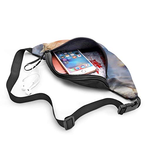 Nature Sea Shells Sport Waist Bag Pack,Fitness Exercise Belt Bags Orange Dog Paws,Correa Ajustable con Cremallera para Auriculares para Correr en el Gimnasio,Viajar,IR de excursión