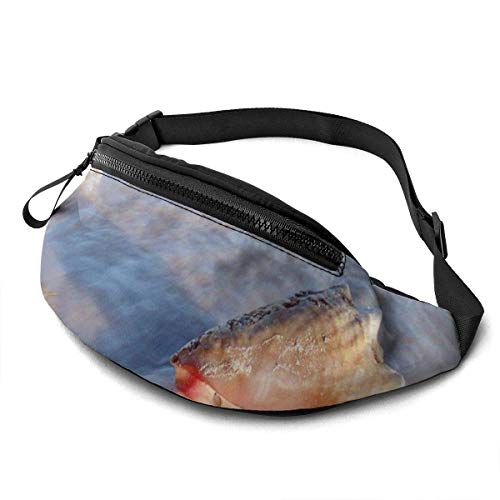 Nature Sea Shells Sport Waist Bag Pack,Fitness Exercise Belt Bags Orange Dog Paws,Correa Ajustable con Cremallera para Auriculares para Correr en el Gimnasio,Viajar,IR de excursión