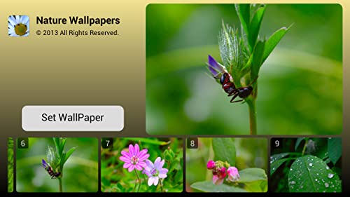 Nature Wallpapers HD Vol. 1