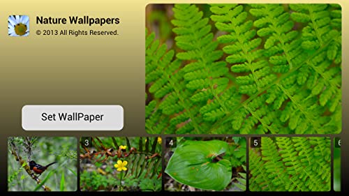 Nature Wallpapers HD Vol. 1