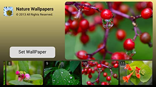 Nature Wallpapers HD Vol. 1