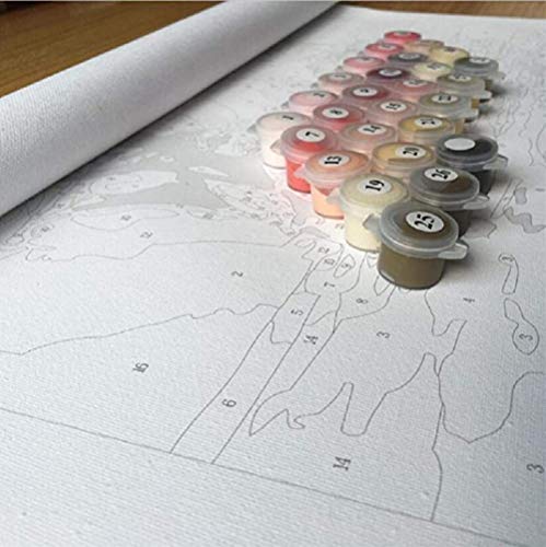 N/C Paisaje Simple del Molino De Viento DIY Pintura Digital por Números Arte Moderno De La Pared Pintura De La Lona Decoración del Hogar 40X50Cm Sin Marco