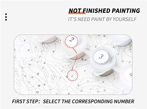 N/C Paisaje Simple del Molino De Viento DIY Pintura Digital por Números Arte Moderno De La Pared Pintura De La Lona Decoración del Hogar 40X50Cm Sin Marco