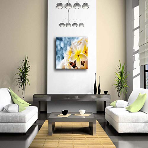 NIMCG Imagen de Arte de Pared Frangipani Flower Water Dew Impresión en Lienzo Flor Carteles Modernos con para Sala de Estar (Sin Marco) R1 40x50CM