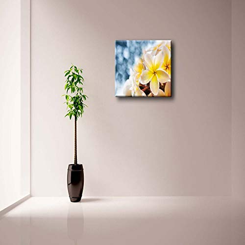 NIMCG Imagen de Arte de Pared Frangipani Flower Water Dew Impresión en Lienzo Flor Carteles Modernos con para Sala de Estar (Sin Marco) R1 40x50CM