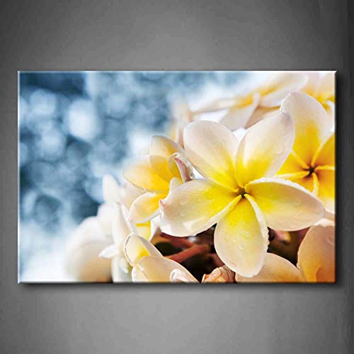 NIMCG Imagen de Arte de Pared Frangipani Flower Water Dew Impresión en Lienzo Flor Carteles Modernos con para Sala de Estar (Sin Marco) R1 40x50CM