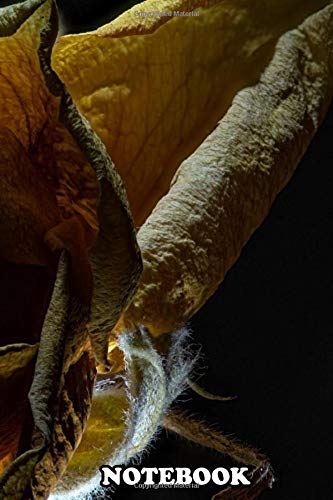 Notebook: Dramatic Low Key Photo Of Dried Rose , Journal for Writing, College Ruled Size 6" x 9", 110 Pages