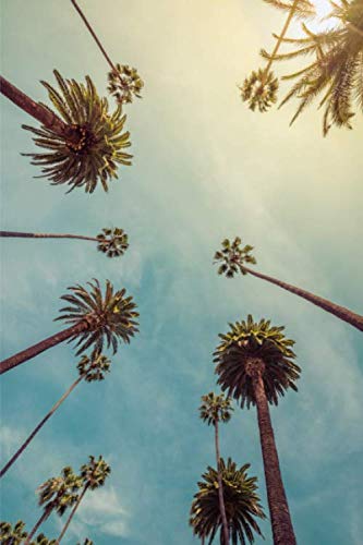 Notebook: Iconic palms in vintage tone