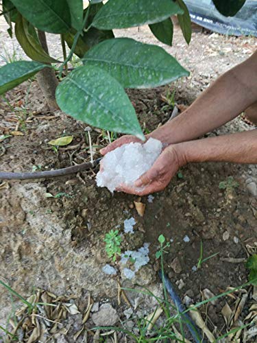 NOVINGRECONS Agua Gel - Paquete 20g Formato Pequeño Jardin/Huerto. Retenedor Agua Multiples Ciclos Uso.