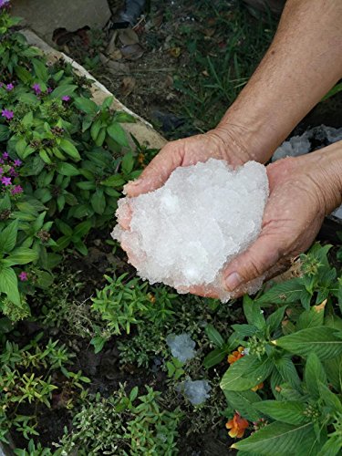 NOVINGRECONS Agua Gel - Paquete 20g Formato Pequeño Jardin/Huerto. Retenedor Agua Multiples Ciclos Uso.