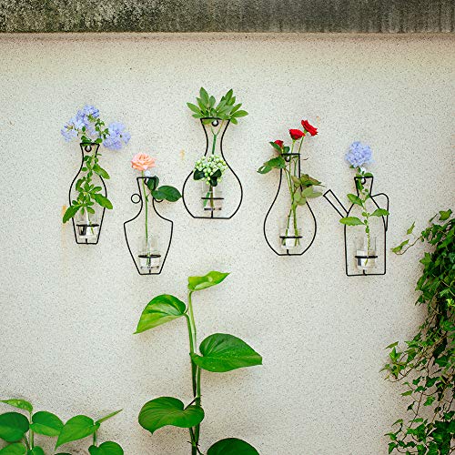 Nuptio Juego de 5 Contenedores para Macetas Colgantes de Pared con Jarrones Copa de Vidrio, Soporte de Metal de Hierro para la Decoración de Arreglos Florales de Siembra de Agua, Regalo para la Boda