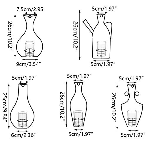 Nuptio Juego de 5 Contenedores para Macetas Colgantes de Pared con Jarrones Copa de Vidrio, Soporte de Metal de Hierro para la Decoración de Arreglos Florales de Siembra de Agua, Regalo para la Boda