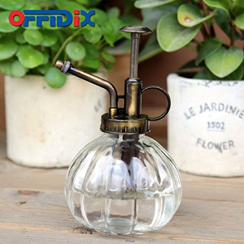 OFFIDIX Botella de Spray de Riego de Vidrio Transparente Spritzer de Estilo Vintage de 6,3 Pulgadas Alto con Bomba de Plástico de Bronce una Botella de Spray de Vidrio de Riego de una Mano para Jar