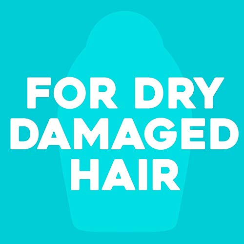 OGX - Lata de regalo con aceite de argán de Marruecos, 0,35 kg