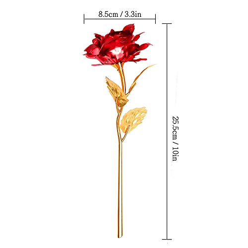 Onerbuy Creative madre regalo del día de 24 K lámina de oro rosa flores full Blossom presenta, romántico regalo para ella con caja, hecho a mano & amor dure para siempre (Rojo)