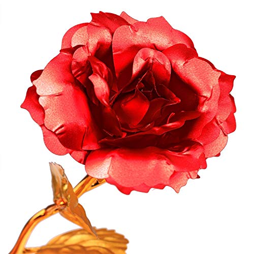 Onerbuy Creative madre regalo del día de 24 K lámina de oro rosa flores full Blossom presenta, romántico regalo para ella con caja, hecho a mano & amor dure para siempre (Rojo)