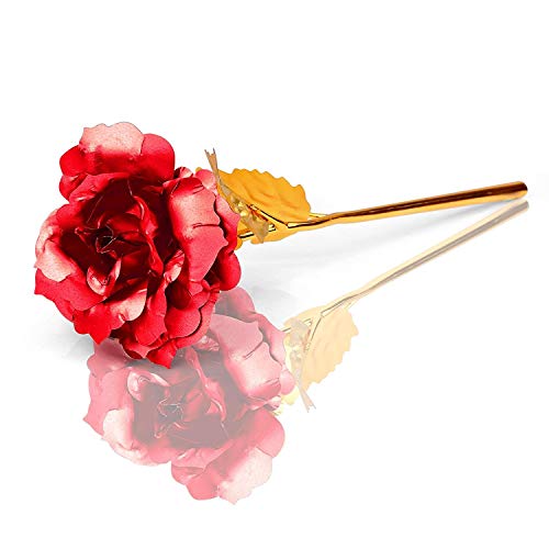 Onerbuy Creative madre regalo del día de 24 K lámina de oro rosa flores full Blossom presenta, romántico regalo para ella con caja, hecho a mano & amor dure para siempre (Rojo)