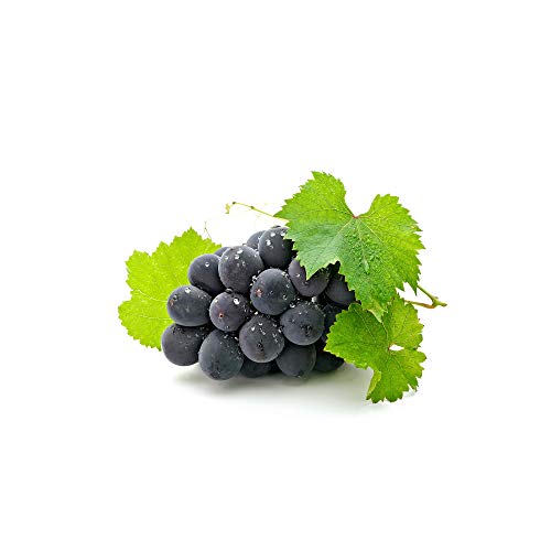 OPC DE UVA Y RESVERATROL * 60 mg / 60 cápsulas * Titulado al 95% en proantocianidinas y al 50% en resveratrol * Antioxidantes, Cardiovascular, Próstata