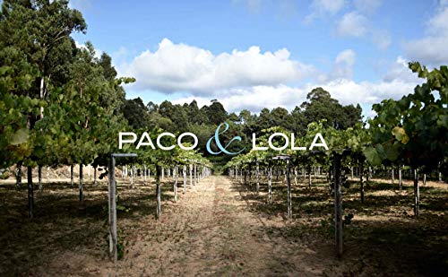 Paco & Lola Vintage, Vino Blanco - 3 botellas de 75 cl, Total 2250 ml