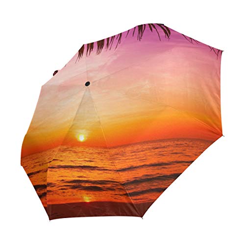 Palm Sunset Umbrella Mujeres Niña Hombres Automático Abierto Cerrar Pequeños Totes Lluvia Domingo Señoras 3 Plegable
