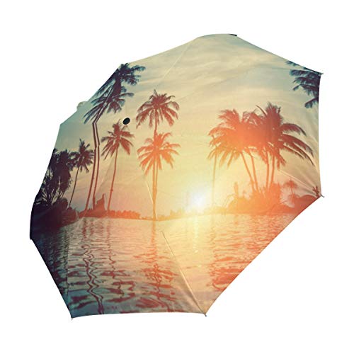 Palm Umbrella Mujeres Niña Hombres Automático Abierto Cerrar Pequeños Totes Lluvia Domingo Señoras 3 Plegable