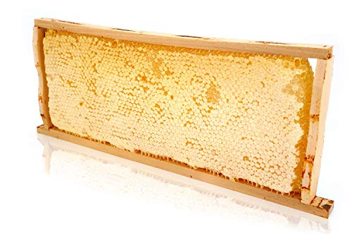 Panal de miel ImkerPur® en miel de acacia altamente aromática (cosecha 2019), 2200 g, en caja fresca de alta calidad y apta para alimentos