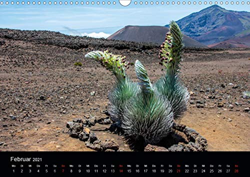 Paradiese der Erde - HAWAII (Wandkalender 2021 DIN A3 quer): Stimmungsvoller Kalender mit Impressionen aus dem Paradies Hawaii (Monatskalender, 14 Seiten )