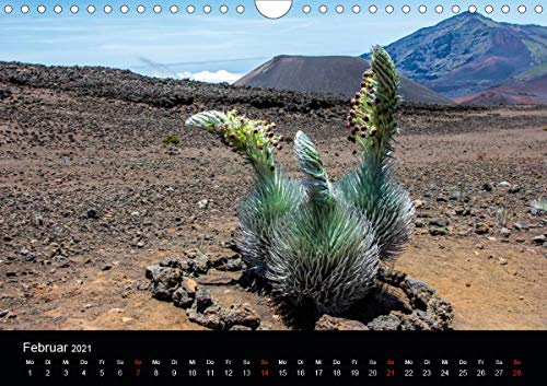 Paradiese der Erde - HAWAII (Wandkalender 2021 DIN A4 quer): Stimmungsvoller Kalender mit Impressionen aus dem Paradies Hawaii (Monatskalender, 14 Seiten )