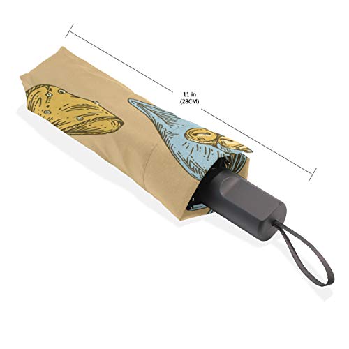 Paraguas para Mujer a Prueba de Viento Concha de mar Campanas de Viento en Verano Paraguas Plegable Compacto portátil Protección contra Rayos UV A Prueba de Viento para Exteriores para Mujer para Via