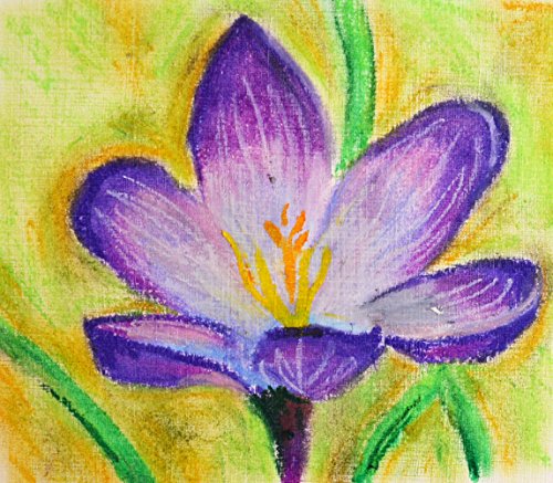 Pentel 100526 - Juego de ceras pastel al aceite (50 unidades), multicolor