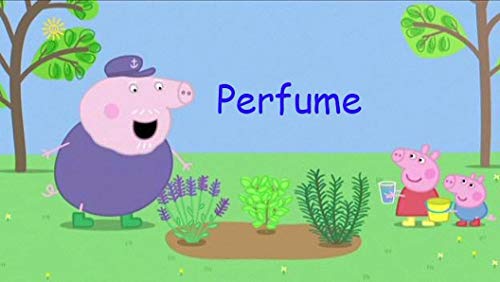 Perfume: Great 5-Minutes By Picture Book For Kids 2-4 Ages (English Edition)